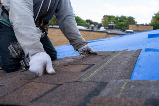Best Roof Maintenance Services  in Home Gardens, CA