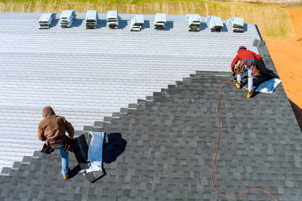 Best Metal Roofing Contractor  in Home Gardens, CA