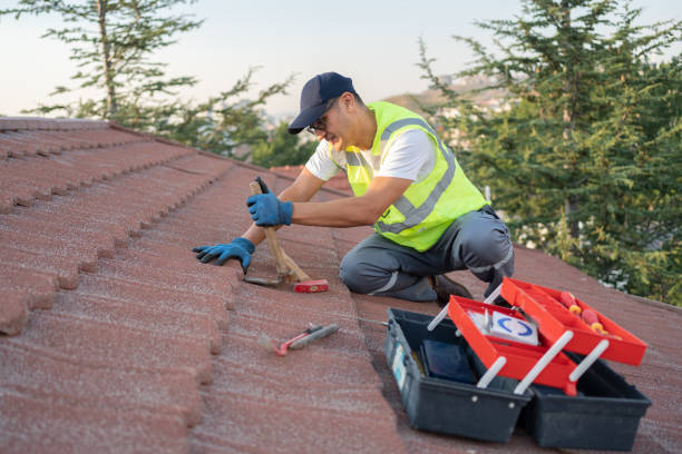 Best Affordable Roof Replacement  in Home Gardens, CA